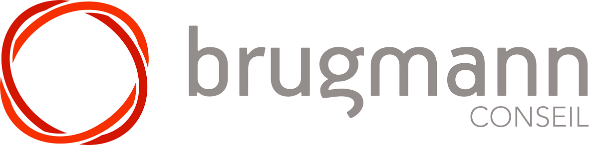 Logo BRUGMANN CONSEIL
