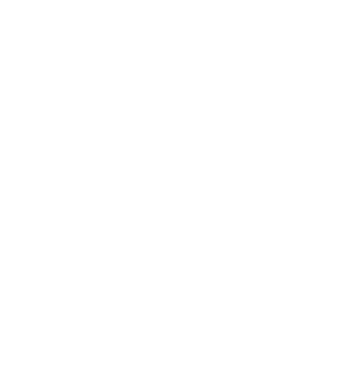 Logo LONGCHAMPS PARTNERS